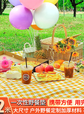 一次性野餐垫户外露营加厚春游桌布加大地垫郊游台布沙滩垫野餐布