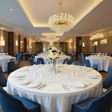 圆形大尺寸一次性桌布饭店酒店加厚商用瓷白轻奢高级感2米大圆桌