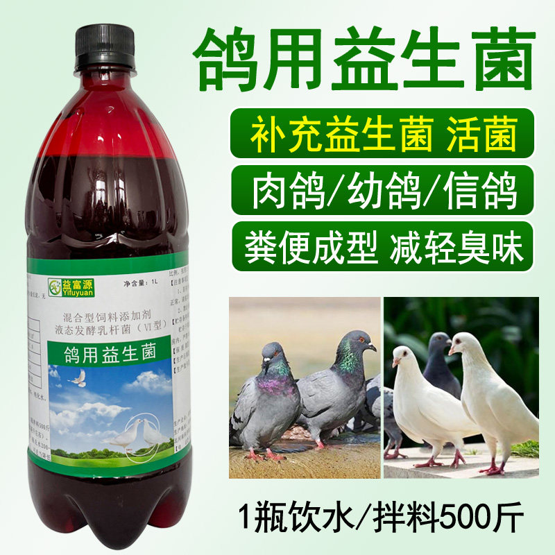 益富源鸽用益生菌信肉鸽幼鸽子鹌鹑营养液饮水拌料饲料添加