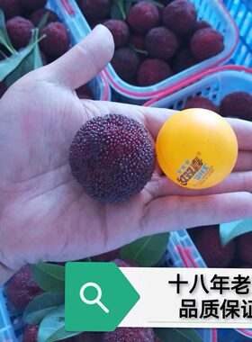 仙居特产新鲜水果东魁杨梅