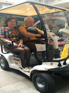 威之群4031B老年代步车四轮车电动车大型双人座老人残疾人观光车
