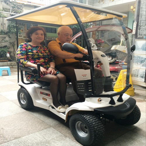 威之群4031B老年代步车四轮车电动车大型双人座老人残疾人观光车