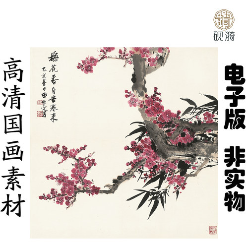 s070梅花香自苦寒来国画高清大图电子素材百度网盘发货非实物