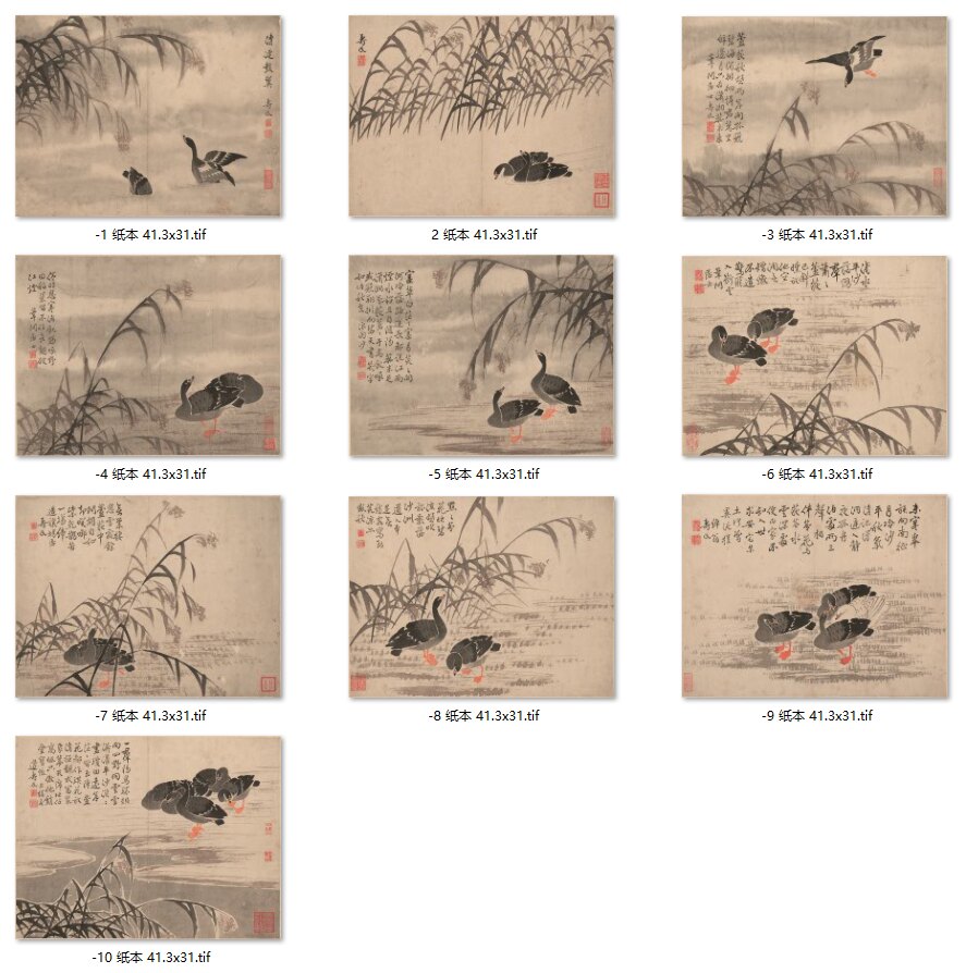 清 边寿民 芦雁图10开纸本绢布宣纸高清微喷复制印刷打印国画心芯