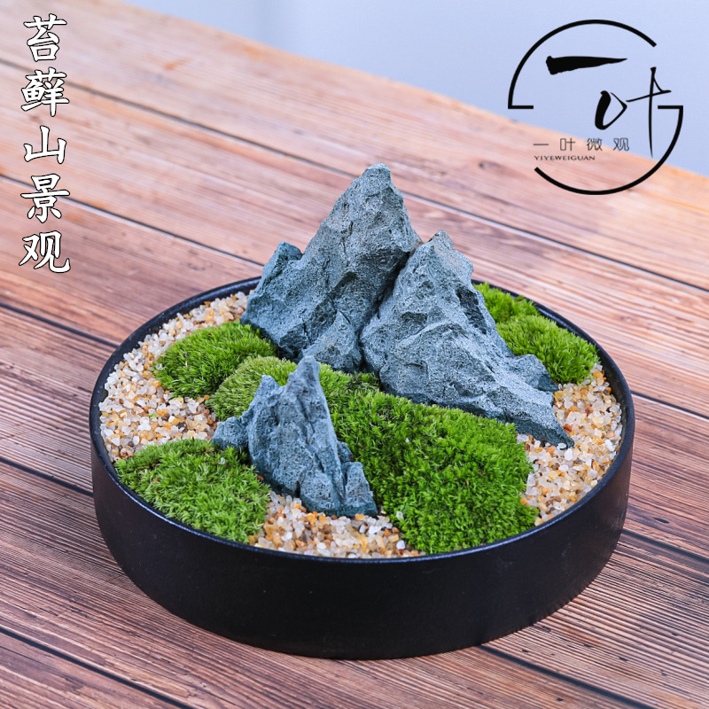 白发苔藓山微景观意境盆栽