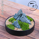 小白发苔藓鲜活铺面青苔微型假山景观室内茶桌禅意盆景水陆缸盆栽