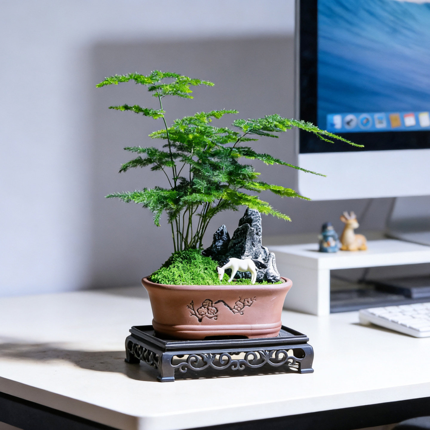 小文竹室内盆栽茶桌摆件好养绿植物客厅办公室四季常青桌面盆景