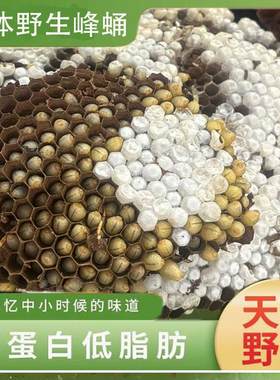 蜂蛹新鲜野生活体马蜂蛹马蜂窝树峰地蜂虎头蜂活蜂蛹带巢鲜活500g