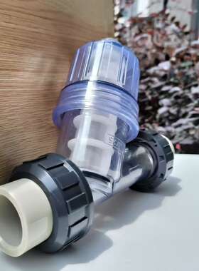 管道式塑料Y型过滤器 PPR热熔Y过滤器液体30目60目80目滤网水处理