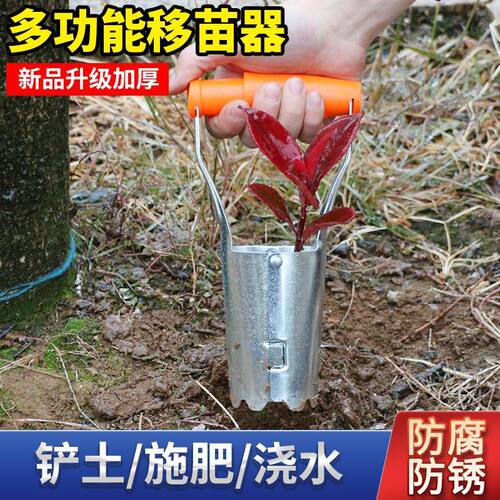 播种移苗追肥神器不锈钢木柄打洞器育苗播籽器花园多肉种苗打孔器