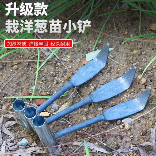 栽苗洋葱栽苗器栽洋葱苗工具种洋葱小铲子栽洋葱