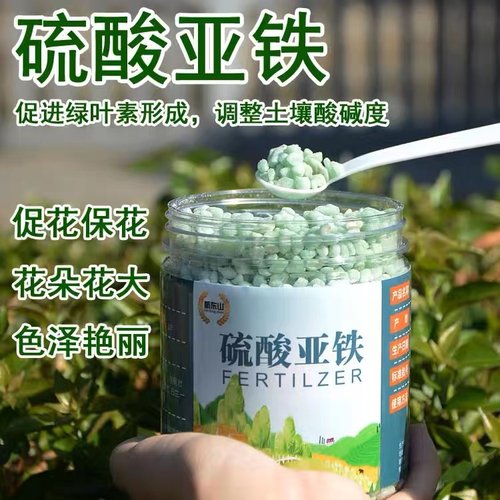 硫酸亚铁花肥料防黄叶专用水溶肥