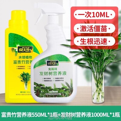 水养植物生根黄叶专用观音转运营养液肥料专治竹龙富贵竹通用水培