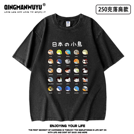 2025新款日本小鸟图鉴重磅水洗做旧短袖T恤男女学生同款夏季tee