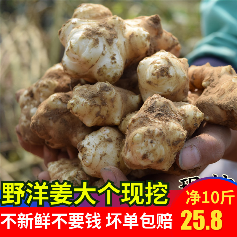 个大新鲜