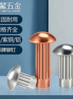 GB827铝标牌铆钉不锈钢滚花铝铆钉铭牌半圆头实心紫铜铆钉M2M3M4