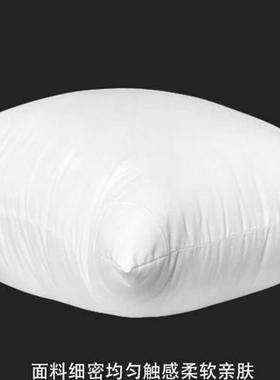 Throw Pillows Sofa Couch Cushion Decorative Pillow insert枕