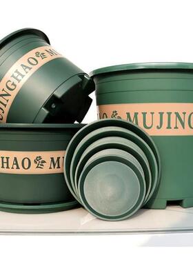 More large flower pot plastic plant trees green plant POTS