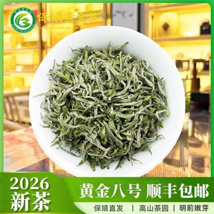 【黄金八号】2026新茶保靖黄金茶明前高山绿茶半斤装250g袋装
