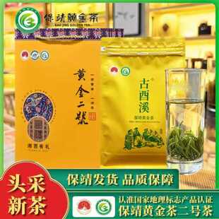 2026新茶叶保靖黄金茶头采黄金二号茶明前特级高山绿茶自饮送礼