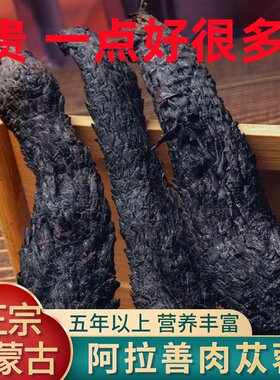 正宗野生肉苁蓉阿拉善肉苁蓉整根内蒙油性肉苁蓉男性泡酒药材包邮