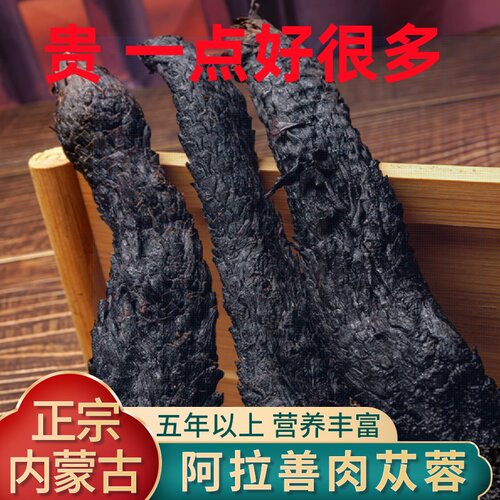 正宗野生肉苁蓉阿拉善肉苁蓉整根内蒙油性肉苁蓉男性泡酒药材包邮