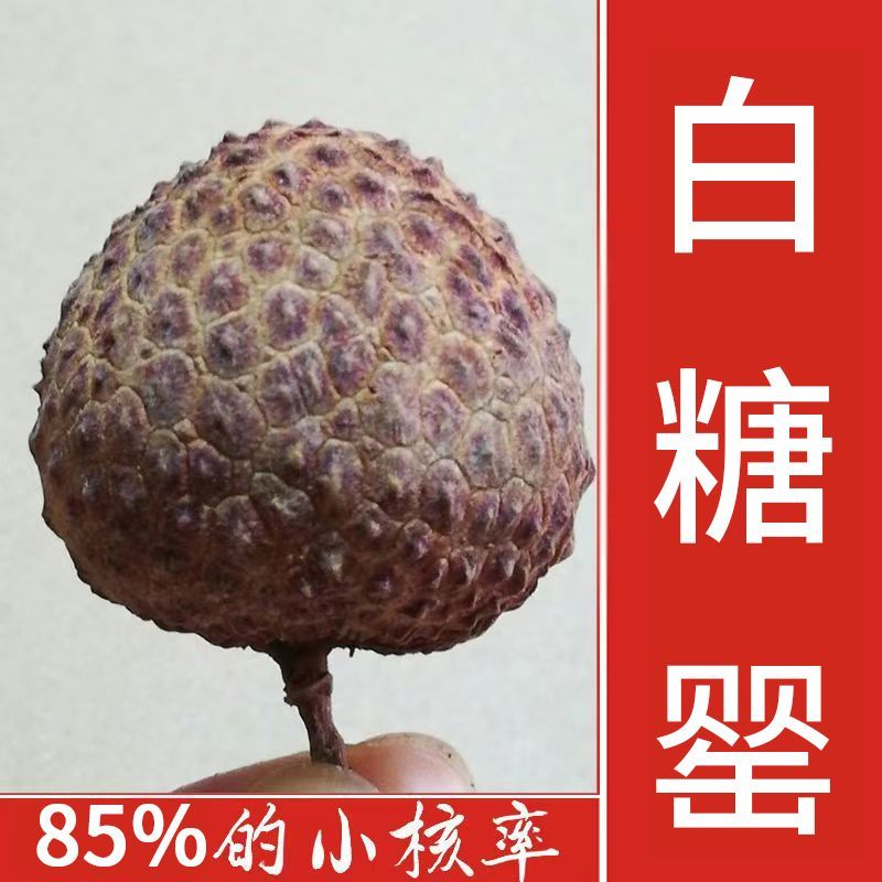 正宗广东高州荔枝干白糖罂特级干荔枝今年新货核小肉厚自晒500g果