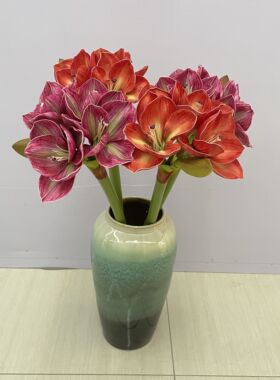 仿真手感君子兰朱顶红花客厅电视柜餐桌花瓶插花摆设茶几摆放花卉