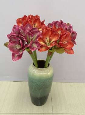 仿真手感君子兰朱顶红花客厅电视柜餐桌花瓶插花摆设茶几摆放花卉