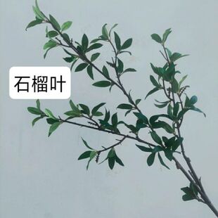 仿真花石榴花石榴叶手感过胶高仿真客厅家居装饰软装设计造景做树