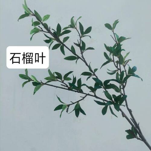 仿真花石榴花石榴叶手感过胶高仿真客厅家居装饰软装设计造景做树