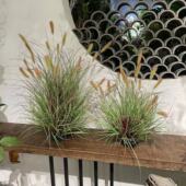 仿真花狗尾巴团毛毛虫团兔尾草软装 设计造景庭院家居摆饰影视道具