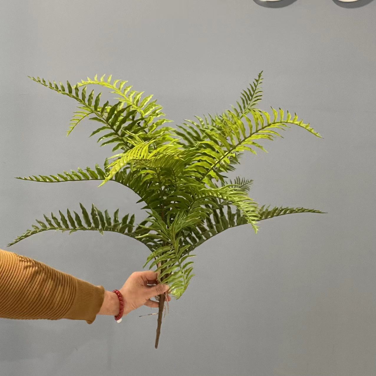仿真绿植蕨类含羞草植物背景墙橱窗婚庆装饰盆栽手感波斯草大蕨叶