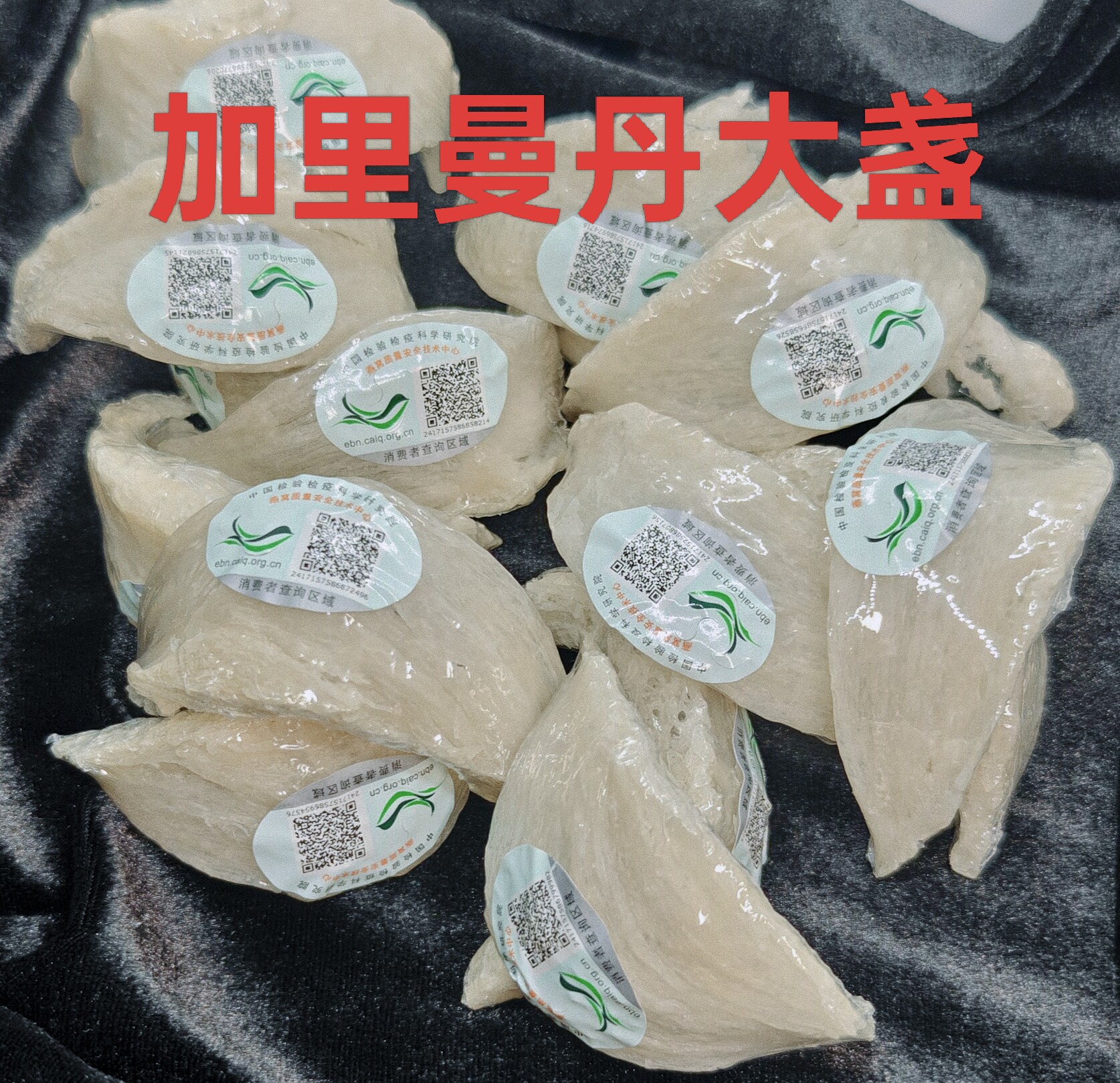 印尼CAIQ正品加里曼丹密大盏干货孕妇级高洁度无底碎滋补礼品鲜炖