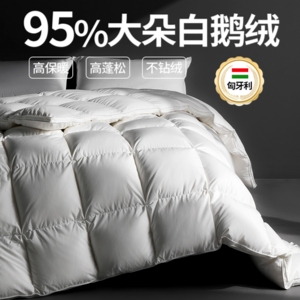 正品匈牙利羽绒被95白鹅绒被子冬被加厚保暖酒店双人抗菌春秋被芯