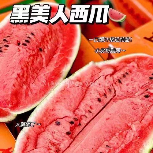 应季水果应季西瓜黑美人西瓜3-9斤新鲜发货南宁仓
