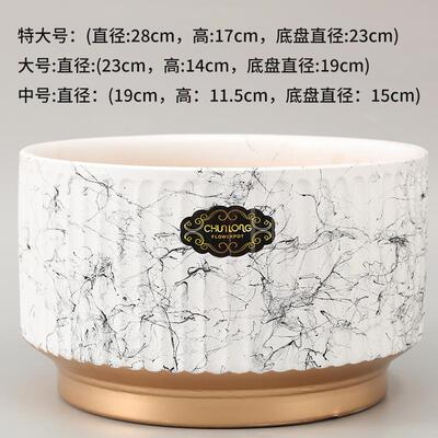 北欧风陶瓷透气蝴蝶兰盆