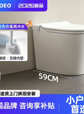 NOEO小户型智能马桶自动冲水小尺寸小户无水压限制臀洗妇洗坐便器