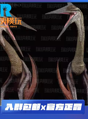 定金 REBOR 诺氏风神翼龙兄弟套 铅和齐柏林 恐龙手办 玩具 公仔