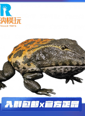 预售 REBOR 1:2 超可动 魔鬼蛙“咕咕娃娃”沼泽版 恶魔角蛙