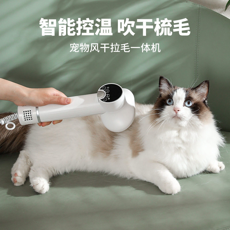 宠物智能吹风梳狗猫风干拉毛机一体吹风机去毛梳美容专用梳子用品