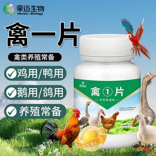 禽一片禽类急救包鸡鸭鹅急救片不精神耷拉正品养殖场养鸡专用兽用