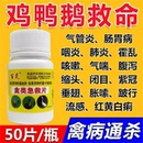 禽類雞鴨鵝鴿子鵪鶉畜兔子牧農(nóng)村散養(yǎng)家禽養(yǎng)殖畜牧養(yǎng)殖備用添加劑