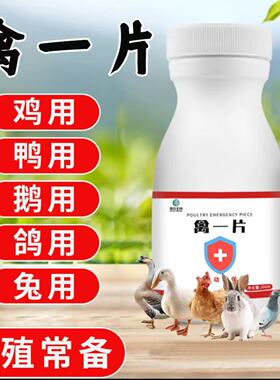 禽一片鸡鸭鹅鸽子鹌鹑兔子畜牧农村散养家禽养殖畜养殖备牧添加剂