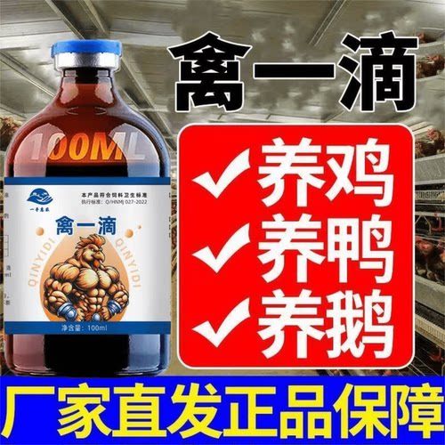 禽一滴鸡鸭鹅鹌鹑鸽子专