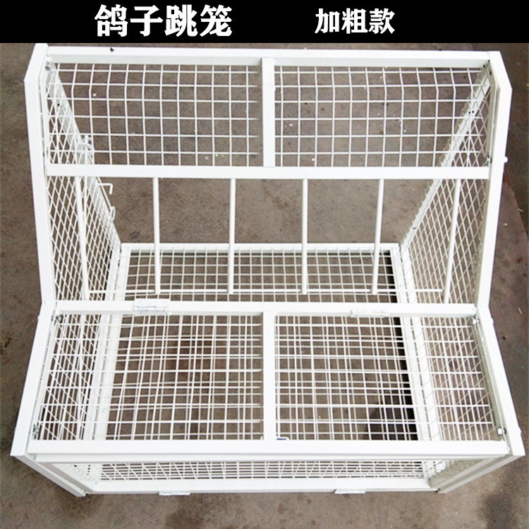 跳笼用品用具赛鸽进口放飞