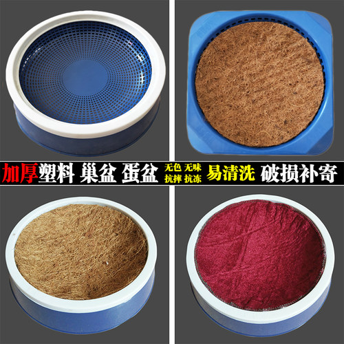 信鸽鸽子用品用具 鸽子窝脚环 塑料圆形漏孔巢盆草窝塑料蛋盆包邮 - 封面