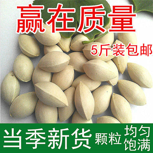 当季新鲜白果银杏果农家白果