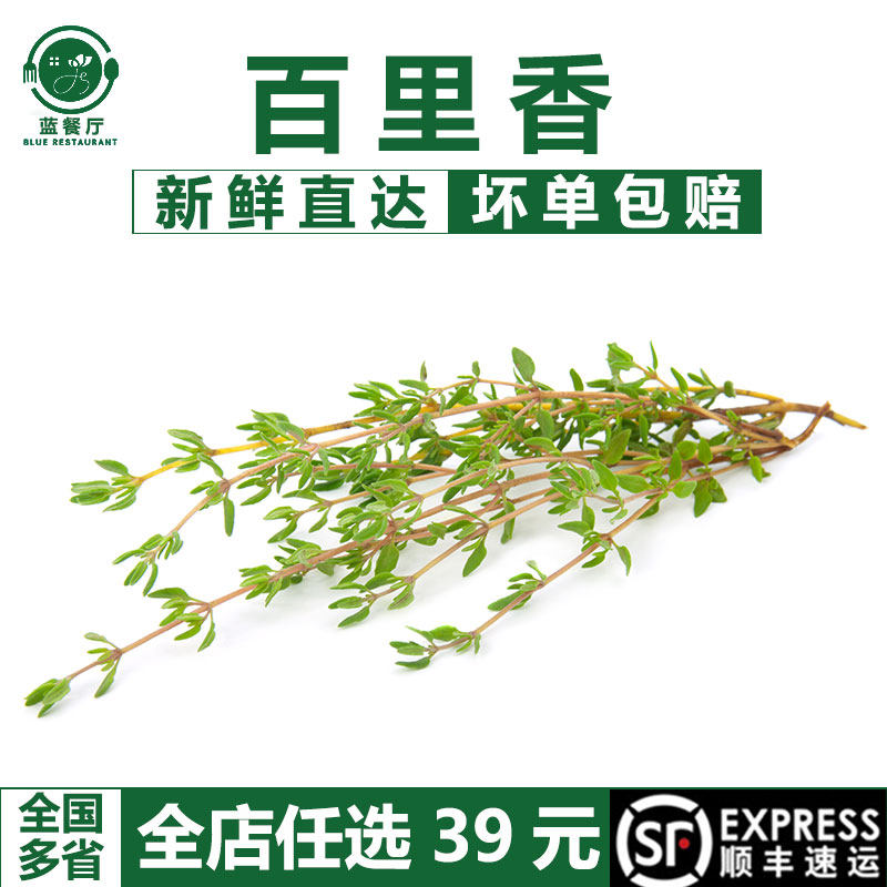 百里香西餐厅牛排调味料可食用