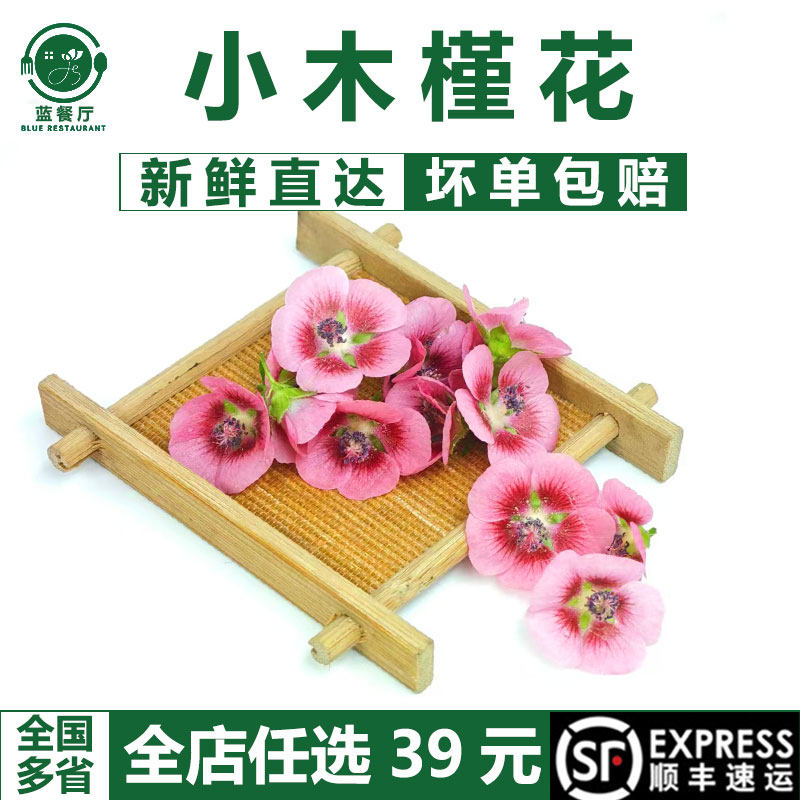 新鲜小木槿花30朵 法式西点蛋糕精致装饰花 餐厅冷盘大厨摆盘花草